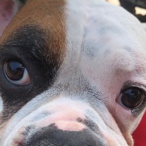 Meet your Posher, John